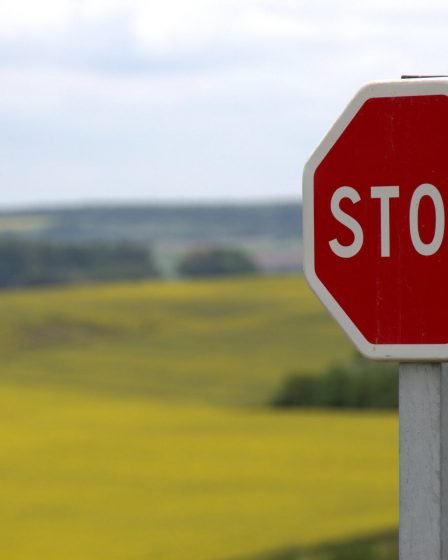 stop sign out in field